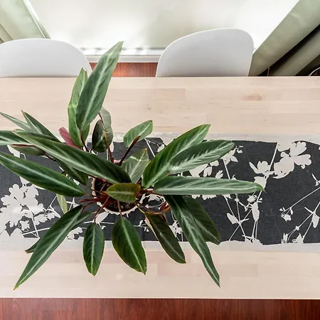 Apartament Dalias De Monko Torremolinos